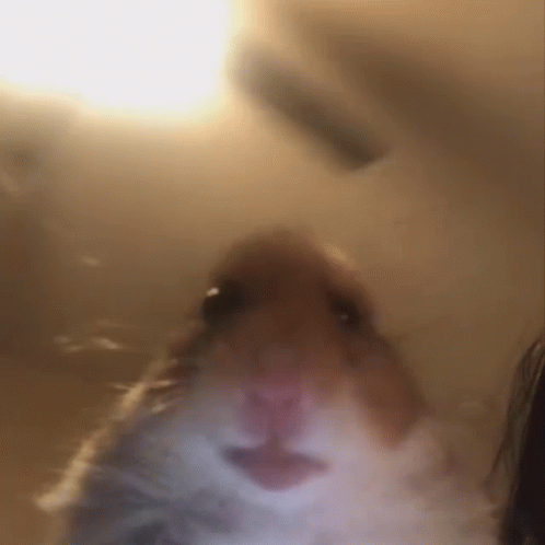,